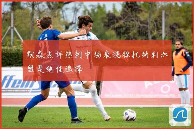 默森点评热刺中场表现称托纳利加盟是绝佳选择
