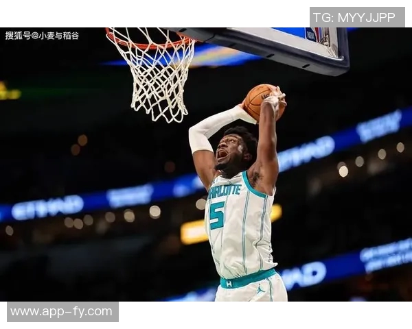 克尼佩尔已成为黄蜂队的新标志性球员引发广泛关注